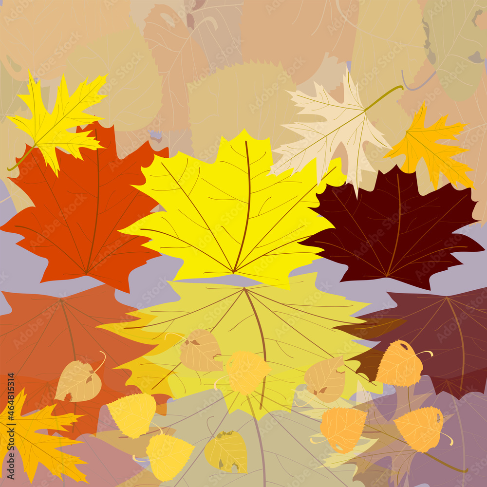 reflection of yellow and red autumn leaves in the water reflection of yellow and red autumn leaves in the water