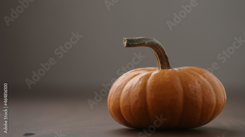 small orange pumpkin on walnut table with white and