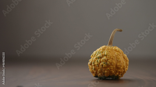 small decorative warty pumkin on walnut table with copy space