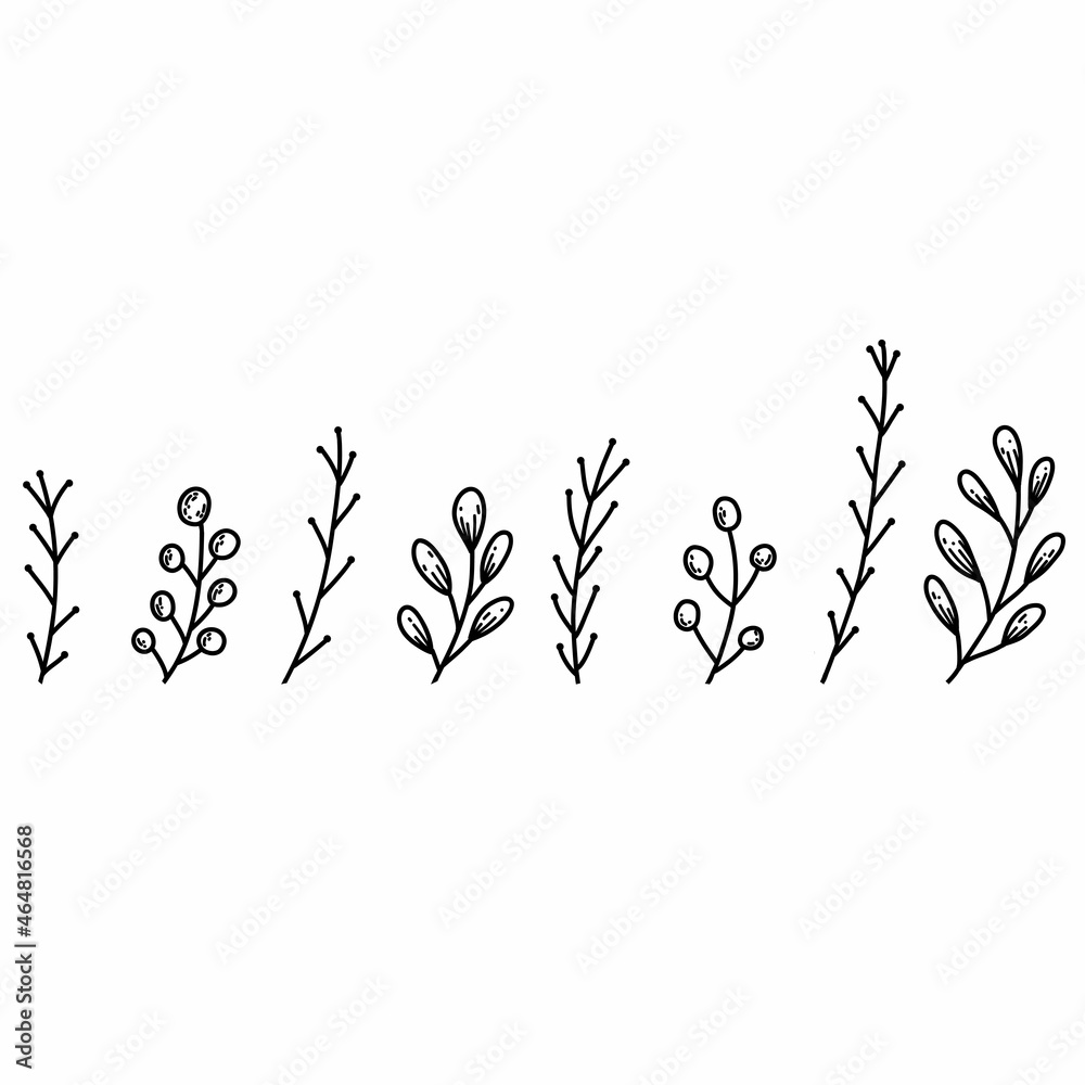 Floral elements in hand drawn doodle style. Plant branches linear illustration Floral elements in hand drawn doodle style. Plant branches linear illustration