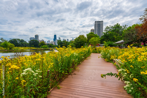 Lincoln Park view in Chicago City  © nejdetduzen