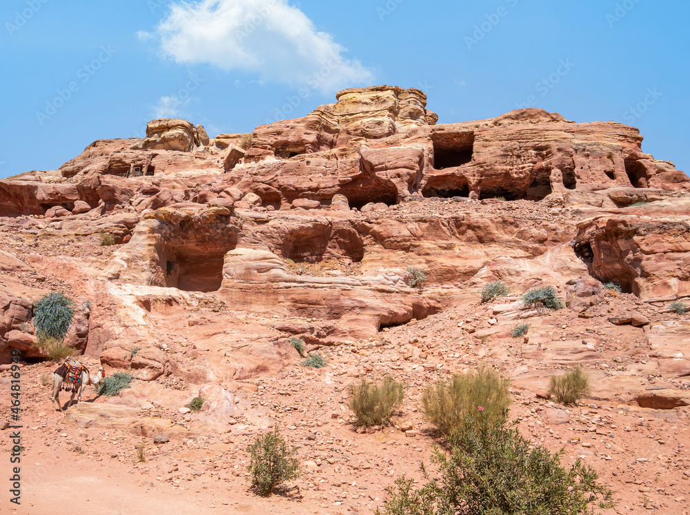 Ancient housing carved in red sand rock in the city of Petra, Jordan. Rocky landscape from Petra, Jordan.