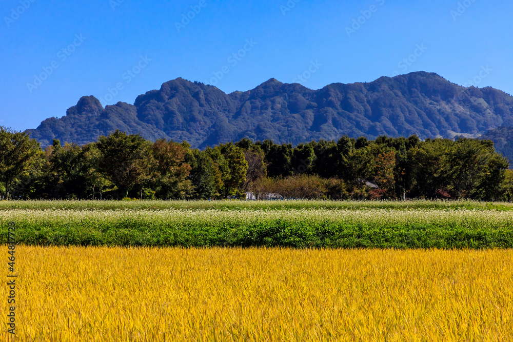 南阿蘇の田園風景