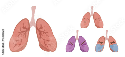 Illustration set of organs and lungs