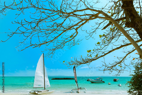 Tropical landscape at Koh Lan is a tropical island in the Thai sea with boats and beautiful tropical beaches.