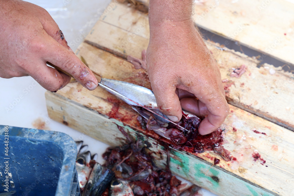 Man cutting fresh fish before selling to customers in the fish market. Man cutting fresh fish before selling to customers in the fish market.