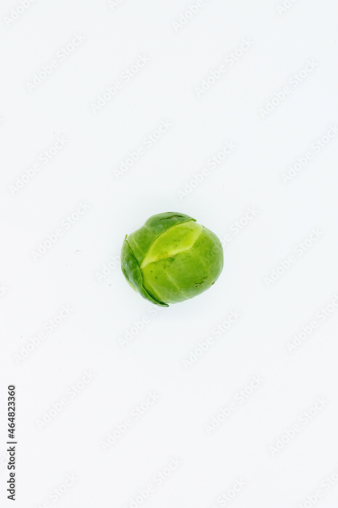 Single Sprout