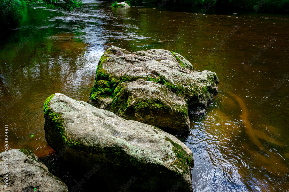 Hiking along Ilz Valley between Schneidermühle und Schrottenbaummühle