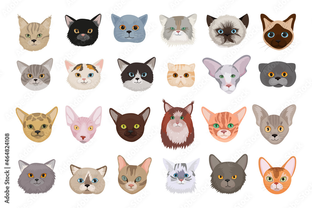 Collection of realistic avatars of cats of different breeds. Stock ...