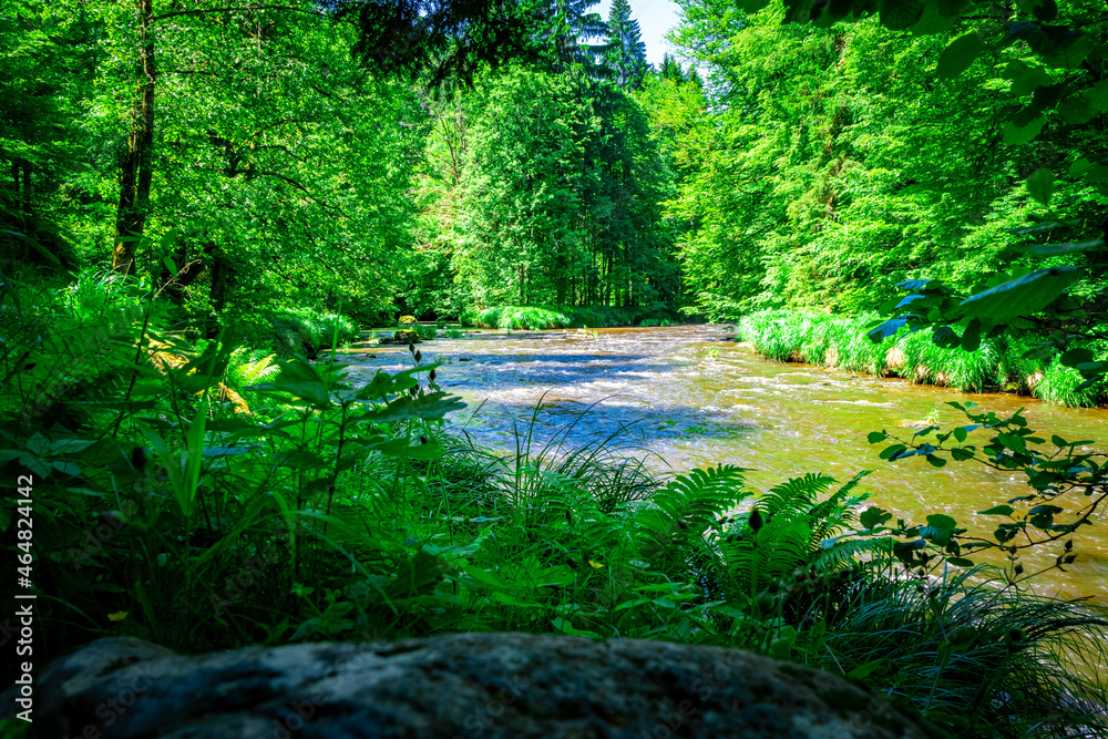 Obraz premium Hiking along Ilz Valley between Schneidermühle und Schrottenbaummühle