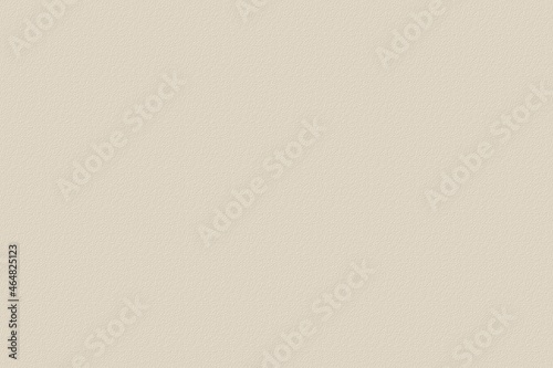 white paper background, light creamy color, shell surface