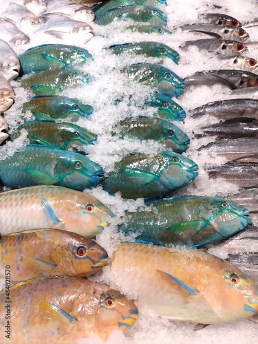 selective focus on sea fish(Abalistes stellaris) in the market with ice. photo