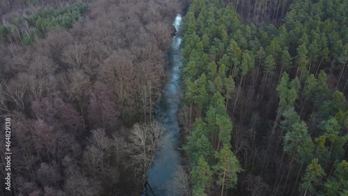 River in the forest - green forest and dark forest - drone 