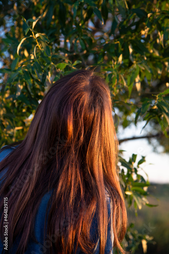 A girl with long hair . Rear view. The girl looks at the green foliage of the trees. The golden hour. The concept of nature and summer.