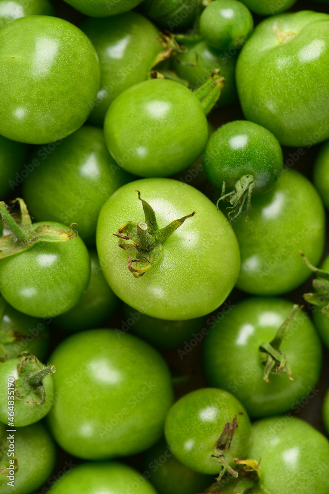 Green tomatoes of different sizes, top view, close-up. Green tomatoes of different sizes, top view, close-up.