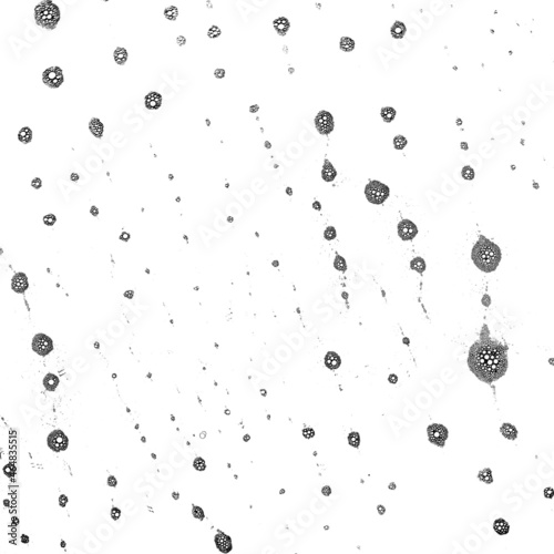 water drops pattern on black background