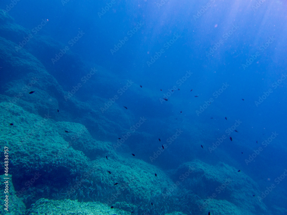 Fototapeta premium Fondale marino Capo Milazzo 1247
