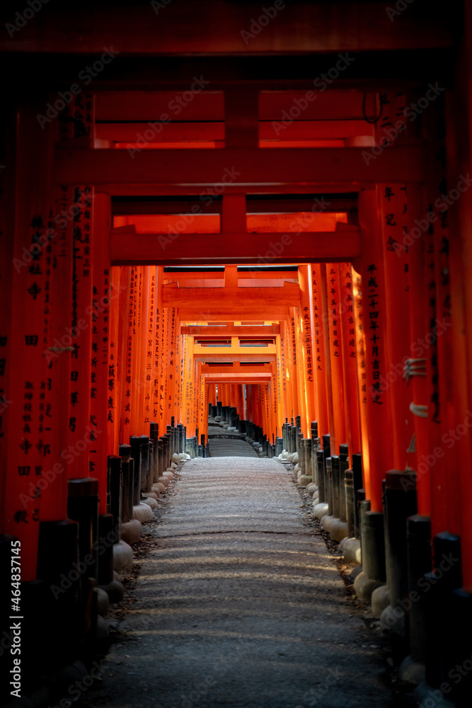 Obraz premium Vertical shot of the Fushimi Inari Taisha hallway in Kyoto, Japan