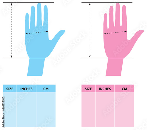 Template for measuring male y female hands. Glove Sizing Guids. Vector illustration.