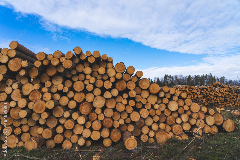 deforestation for roads, wood harvesting, wood as a renewable biological resource, deforestation area for highways, construction of toll roads, land acquisition for the construction of a major road