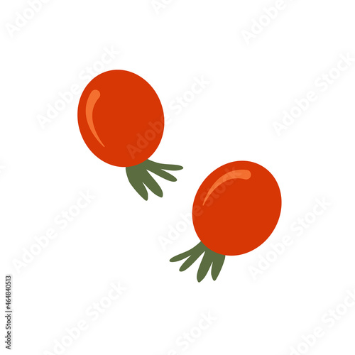 Rosehip berry illustration. Vector illustration for stickers, stationery, decoration.