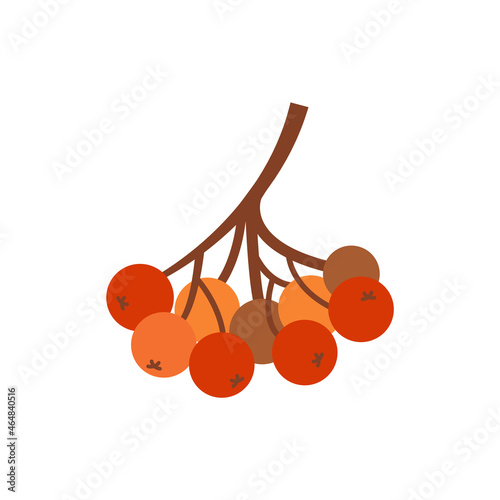 Rowan berry illustration. Vector illustration for stickers, stationery, decoration.