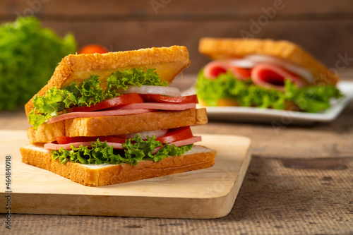 Sandwich bologna sausage with fresh vegetables, tomato, lettuce and onion photo
