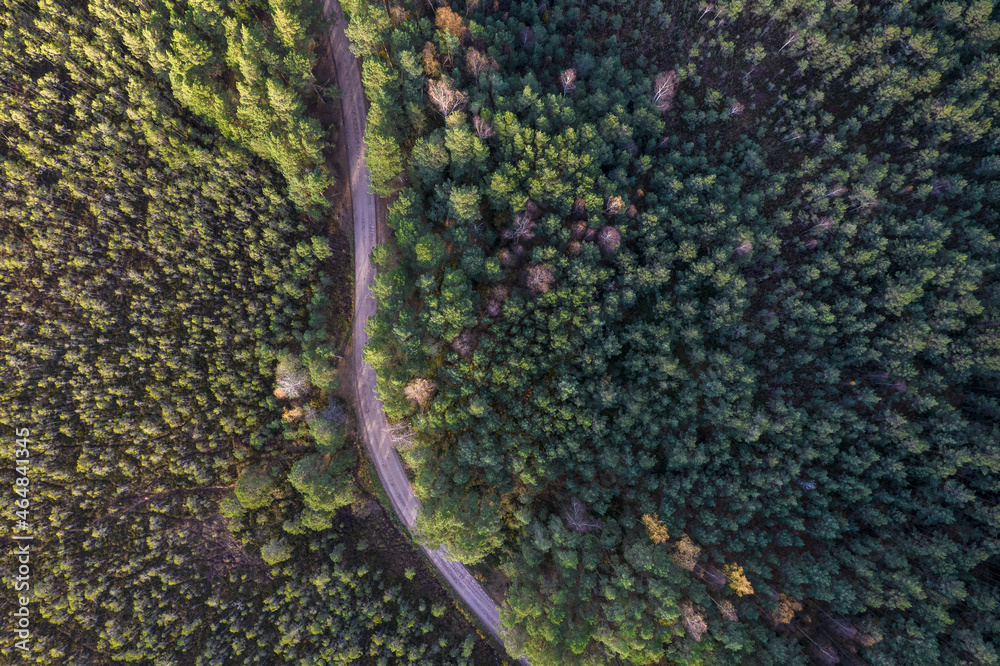 Aerial view from drone of rural road leading through autumn forests and groves in yellow green colors. Dense forest in golden time and empty highway in fall season. Roadway among colorful treetops Aerial view from drone of rural road leading through autumn forests and groves in yellow green colors. Dense forest in golden time and empty highway in fall season. Roadway among colorful treetops