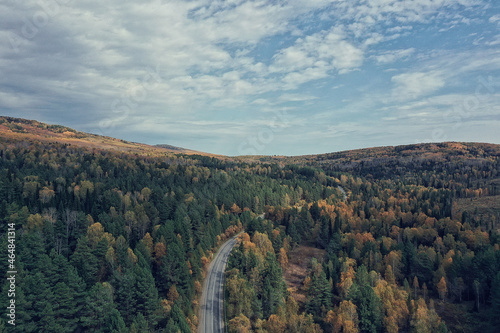 landscape altai russia  autumn top view  drone over the forest