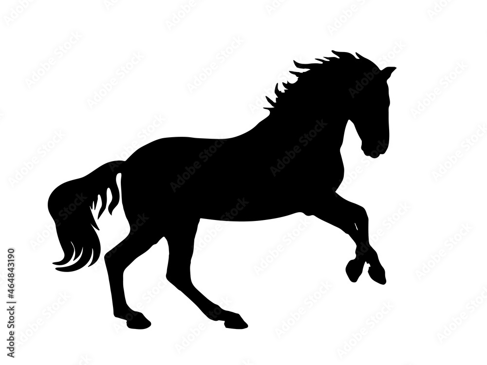 vector isolated black silhouette of a galloping  horse on a white background