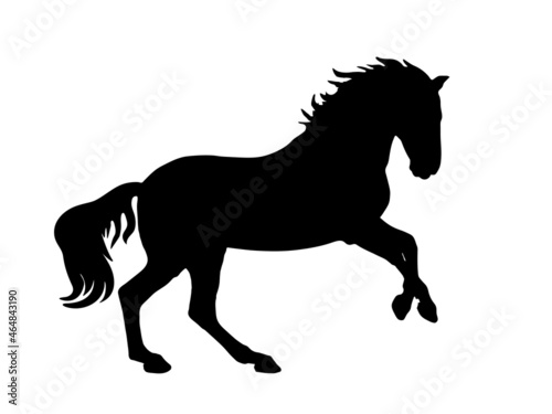 vector isolated black silhouette of a galloping  horse on a white background