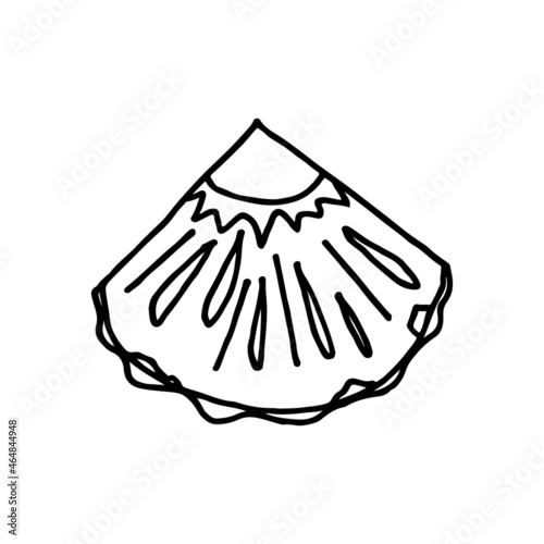 Slice of summer pineapple in doodle style. Hand drawn illustration.