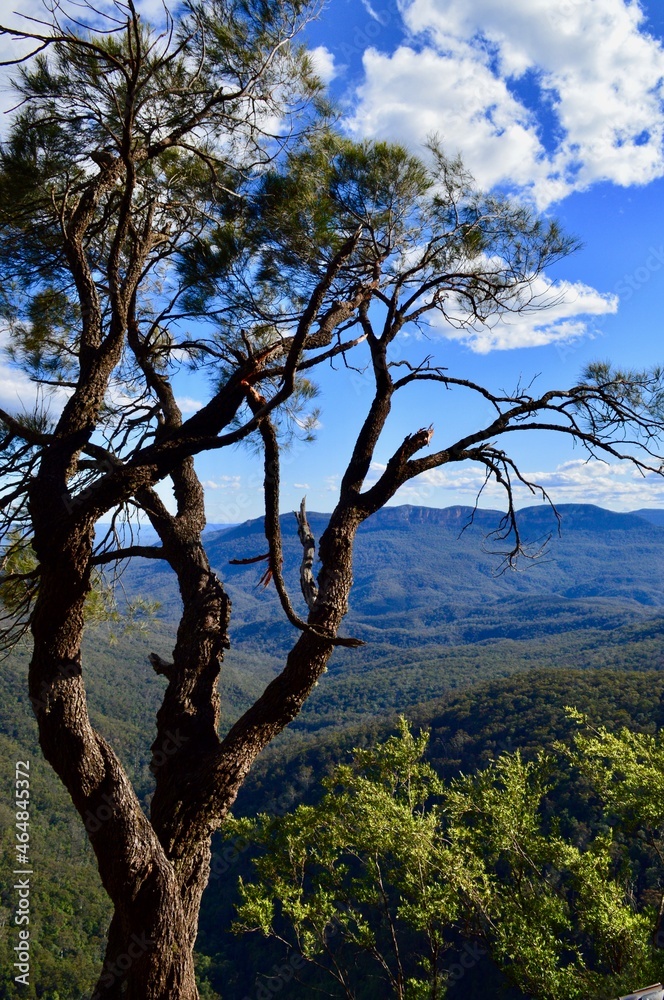 A view on the Undercliff Walk at Wentworth Falls A view on the Undercliff Walk at Wentworth Falls