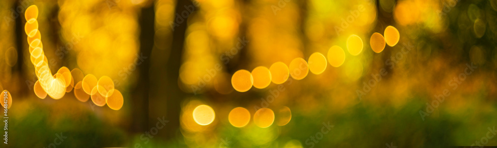 Obraz premium Banner autumn background. autumn mood. maple leaf fall. autumn background out of focus