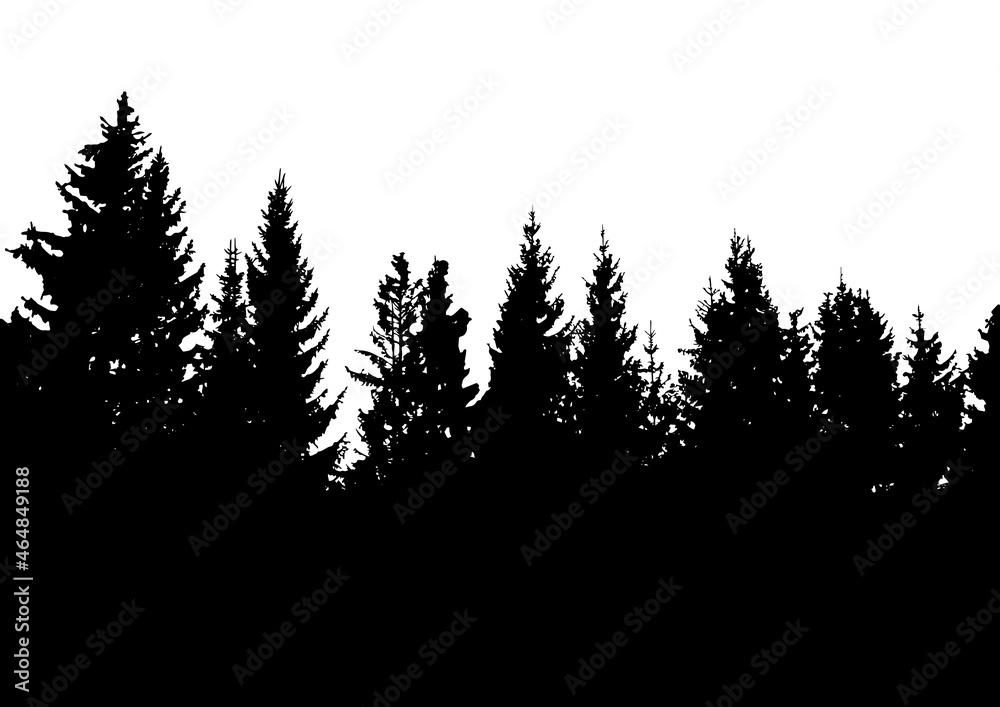 Silhouette of fir trees. Black and white vector illustration
