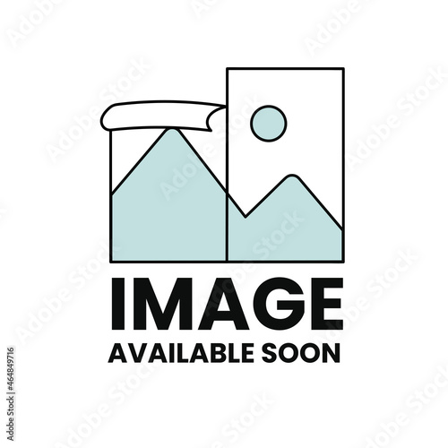 Image available soon sign. Internet web illustration to indicate the absence of image until it will be downloaded.
