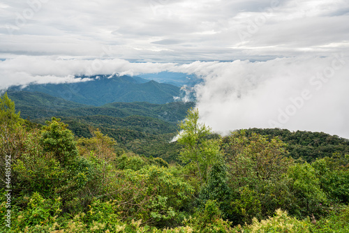 Fog cover beautiful rain forest mountain in northern Thailand, Chiang Mai.