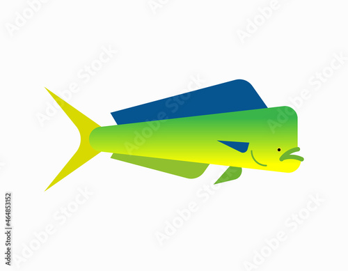 Dorado fish isolated. Mahi Mahi saltwater fish. vector illustration