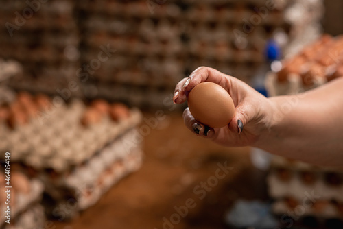 Mano de una persona con hun huevo en la granja con cartones listos para empacar al fondo photo