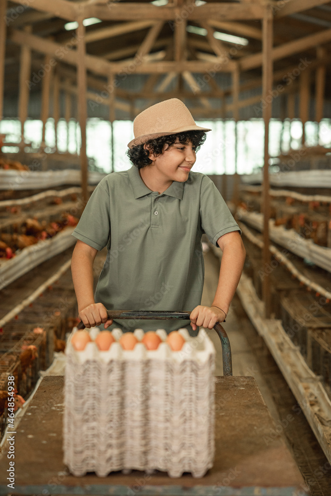 Retrato vertical de un adolescente recolectando huevos en un gallinero Retrato vertical de un adolescente recolectando huevos en un gallinero