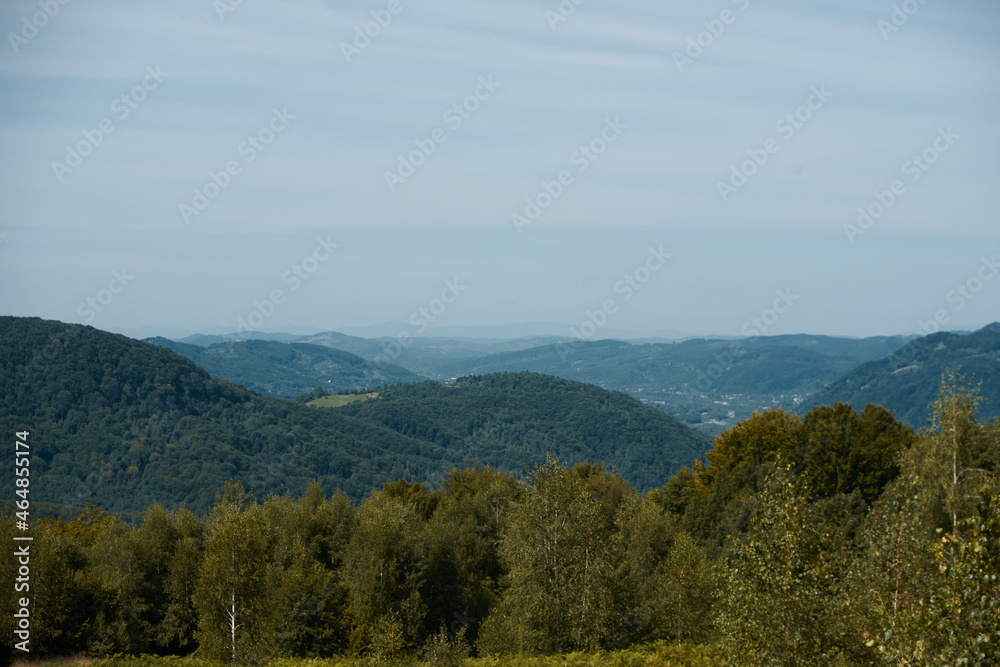 Landscape of deciduous forest in the mountains