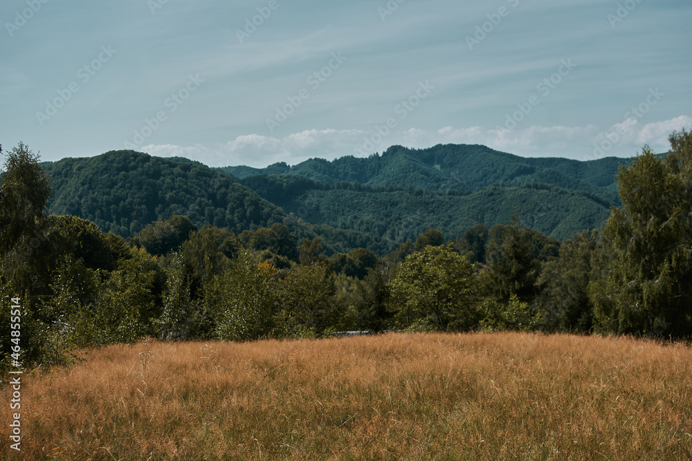 Landscape of deciduous forest in the mountains