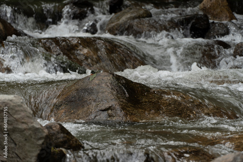 La Quebrada La Ayur   atraviesa el municipio de Envigado y desemboca en el r  o Aburr   -Medell  n  en l  mites con los municipios de Itag     y Medell  n.