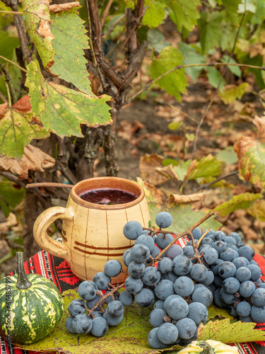 Vertical shot of the  concord grapes, wine, and pumpkin on a red tablecloth photo