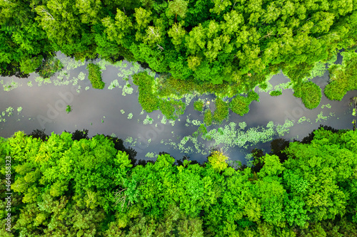 Amazing river and blooming ...