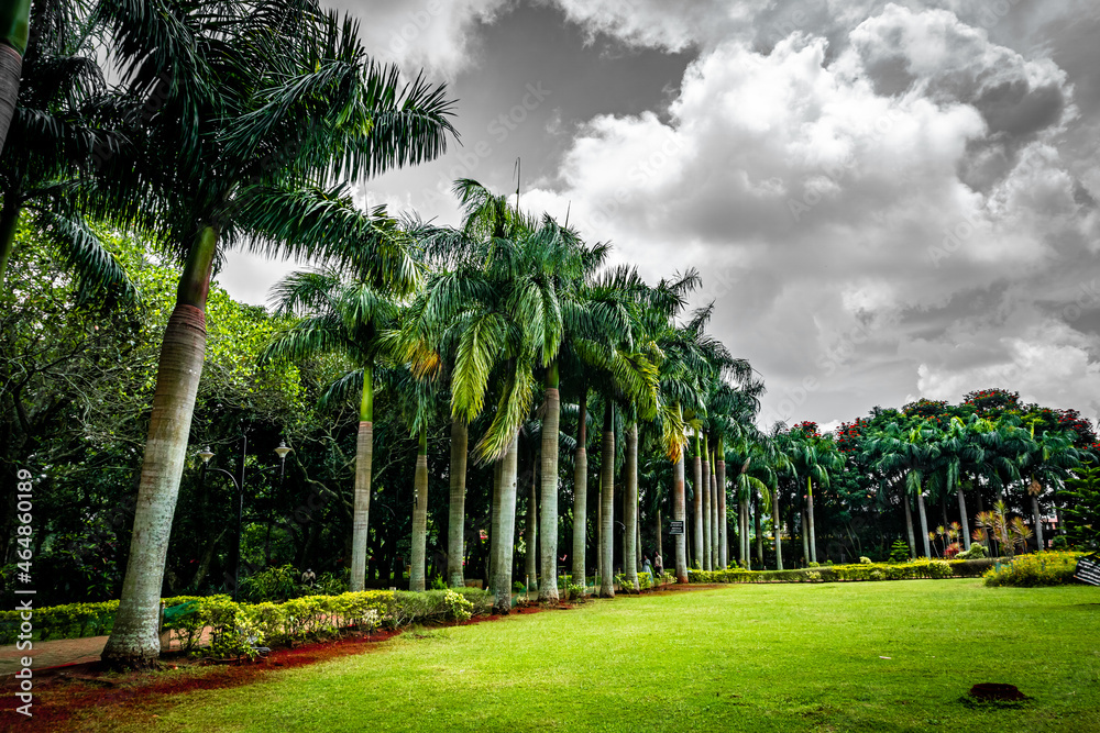 Yelagiri Nature Park is a sweet spot area in yelagiri hill. It serves