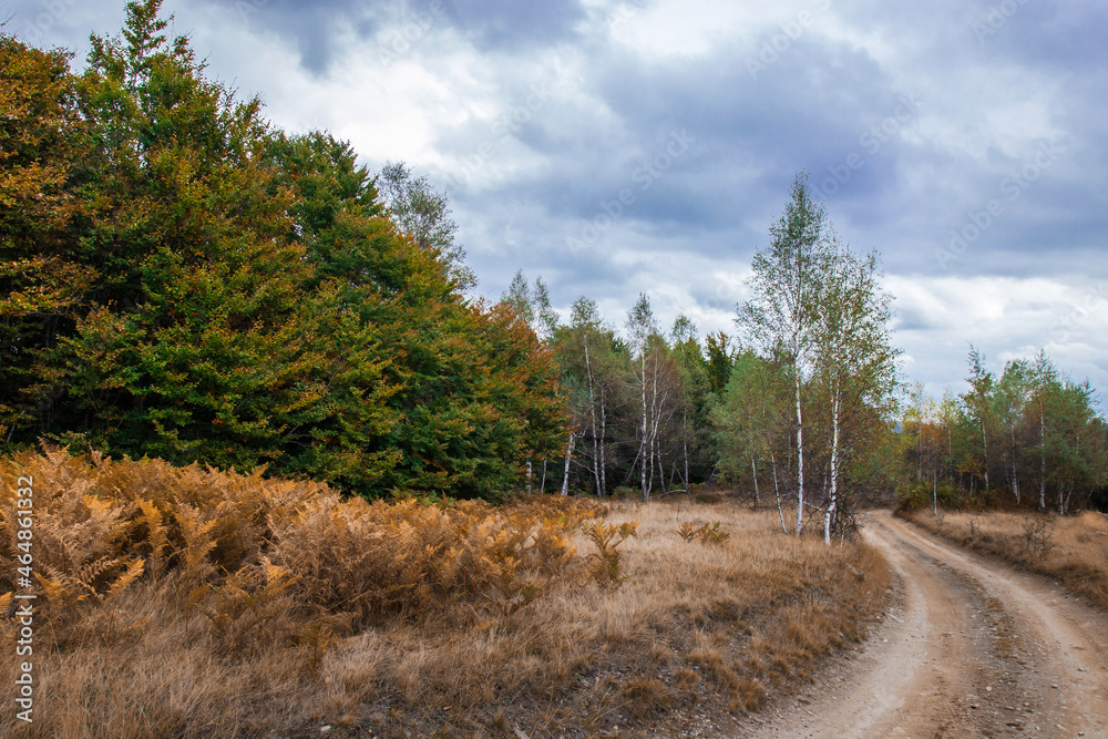 Fototapeta premium Rural, dusty road through the nature in Eastern Serbia