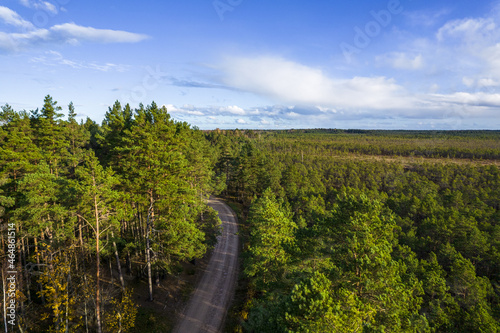 Aerial view from drone of concrete road leading through autumn dense forests and groves in yellow green colors. Trees in golden time and empty highway in fall season. Roadway among colorful treetops 