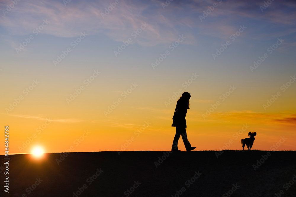 Silhouette of a woman with her dog standing against bright sunset sky.