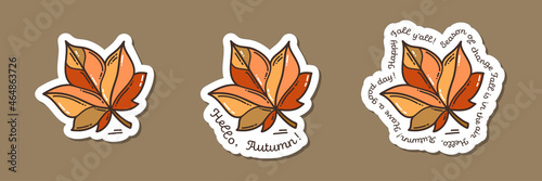 Colorful hand-drawn harvest sticker set with maple leaf and lettering in doodle style isolated on white background. Cute vector collection for seasonal decoration.